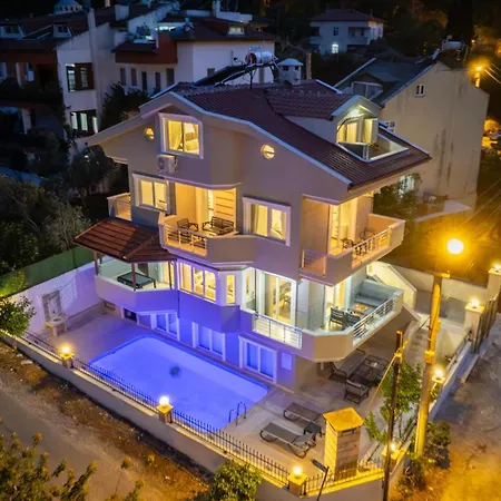 فيلة Necati Bey *