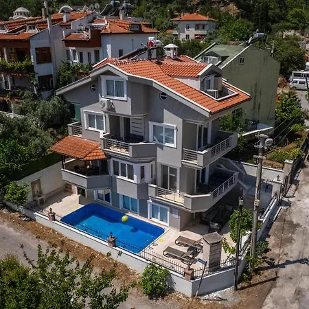 فيلة Necati Bey *